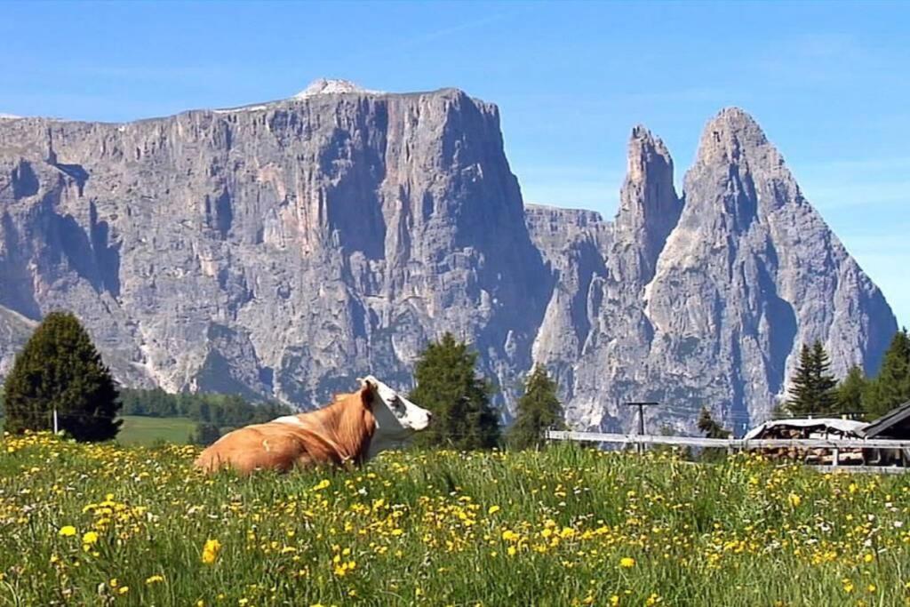 Апартаменты Fantastico Monolocale In Siusi Sciliar Экстерьер фото